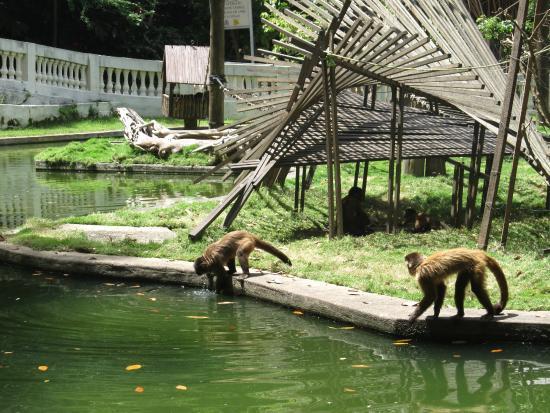 Parque Zoobotânico Arruda Câmara